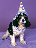 Clown Doggie Pet Halloween Costume