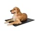 K&H Lectro Kennel with Free Fleece Cover, Large