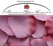1000 Silk Rose Petals Wedding Favors - Two Tone - Dusty Rose/Rose