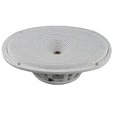 DC GOLD AUDIO N69R 6x9 Reference Series Speaker - White - 8 OHM