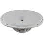 DC GOLD AUDIO N69C 6x9" Classic Series Speakers - White - 4 OHM