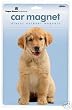 Large Golden Retriever Dog Car / Truck Magnet