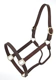 Royal King Large Horse Track Halter