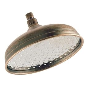 Fusion MAT-300-PVD Rain Head Showerhead, PVD Brass