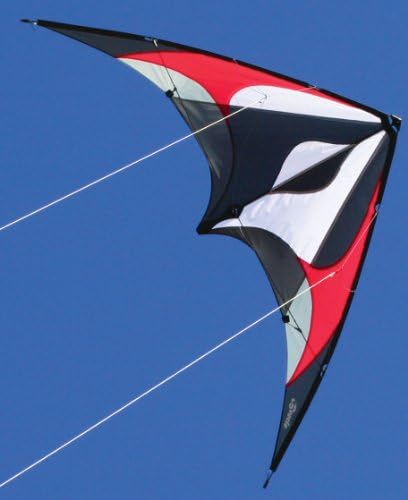 Beetle Dual Line Stunt Kite
