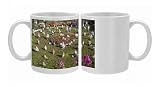 Photo Mugs of Gnomes, Port Stanley, Falkland Islands, South America from Robert Harding