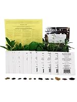 Assortment of 12 Culinary Herb Garden Seeds: Parsley, Thyme, Cilantro, Basil, Dill, Oregano, Marjoram & More from zziggysgal