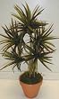 NEW! Bendable Yucca Plant (red/green)