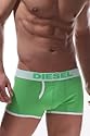 DIESEL NEW BREDDOX Pants (grün)