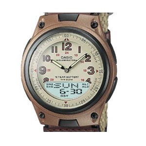 Casio