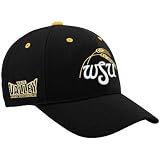 Wichita State Shockers Adult Adjustable Hat