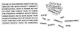 Amnesty International Word Magnets