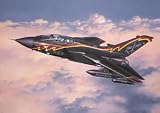 04631 1 / 72 TORNADO IDS JG 31BT - B0002HNNVE