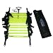 World Sport 30 Foot Flat Rung Agility Ladder (Breaks Down to Two 15 Foot Ladders)