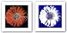 Flower for Tacoma Dome, c. 1982 Set by Andy Warhol 13.75
