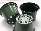 Quantity of 50 - 4 Inch Green Plastic Azalea Pots for Plants