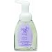 Best Sanitizers SMA0034U Smart-San Hand Alcohol-Free Hand Sanitizer Foam, 250mL Bottle (Case of 12)