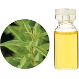 �����̖؁EHerbal Life ���A�o�����[EO.�E�������o�[�x�i 1ml