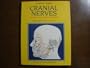 CRANIAL NERVES ANATOMY AND CLINICAL COMMENTS