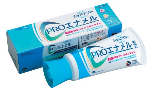 シュミテクト プロエナメル 110G
