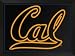 279362 - Trans Globe Lighting - University Of California Berkeley - LED Sign