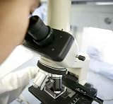 Microscopio - 24