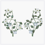 MAGNOLIA HANGING WALL DECOR CANDLEHOLDERS SET OF TWO by BEZG
