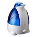 Cleanse, For Your Allergy Relief