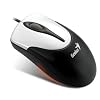 Genius NB NetScroll 310 - Rat�n �ptico con cable, color negro y plateado