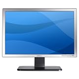 Dell S199wfpf 19