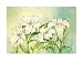 Near Me by E Kuch Fine Art Print / Poster 31.50 x 23.75 in.