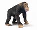 Schleich Chimpanzee Male 14189