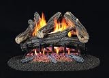 Pro com WAN24N 2 Vented Log Set 24 41iE8nPskNL. SL160 Pro com WAN24N 2 Vented Log Set 24