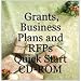 Government Funding: Grants, Business Plans and RFPs Quick Start CD-ROM