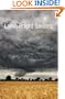Lamb Bright Saviors (Flyover Fiction)