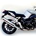 05-06 BMW K1200R Staintune Oval Slip-On Exhaust Muffler - 132C3