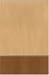 Book Women of Faith Study Bible Camel/Tan GM