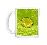 Oil gland on a leaf, SEM Photo Mugs