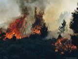 Controlled Fires Burn Eagerly in Small Patches Photographic Poster Print by Melissa Farlow, 24x18