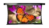 Elite Screens TE84HW2 84-Inch 16:9 HDTV Format 41.2-Inch x 73.2-Inch Cinetension 2 Series Premium Electric Screen