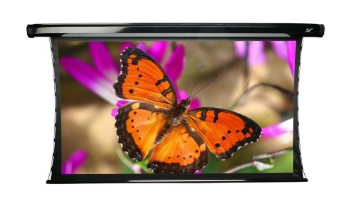 http://www.projectorlampcheap.com/projector-screen/elite-screens/elite-screens-cinetension-2-tab-tensioned-te120hw2-projection-screen.html