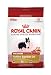 Details About Royal Canin Dry Dog Food, Medium Active Special 25 Formula, 6-Pound Bag
