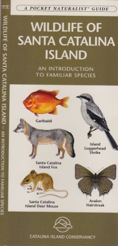 Wildlife of Santa Catalina Island (A Pocket Naturalist Guide)