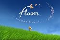 Flower  [Online Game Code - Full Game]