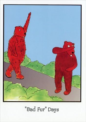 Bad Fur Days - Funny Friendship Card