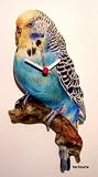 Blue Budgie Wall Clock