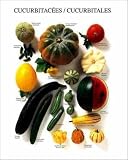 Kunstdruck Poster: Atelier Nouvelles Images "Kürbisgewächse" 24 x 30