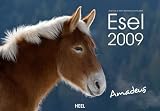 Esel 2009