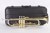 Etude ETR-100 Series Student Bb Trumpet Lacquer