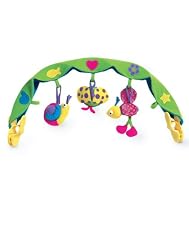 Tiny Love&reg; Take-along Arch